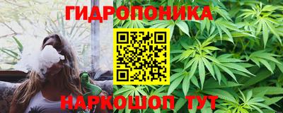 крисы Кунгур