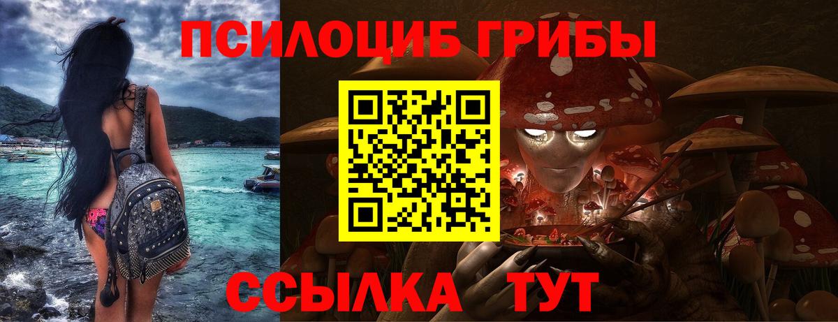 Бугуруслан  Галлюциногенные грибы мицелий  Галлюциногенные грибы мицелий  Вход с VPN 
